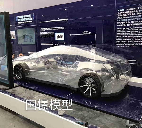 龙泉市透明车模型
